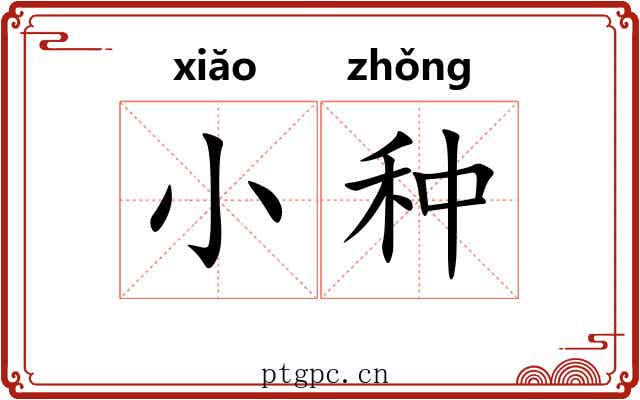 小种 小种