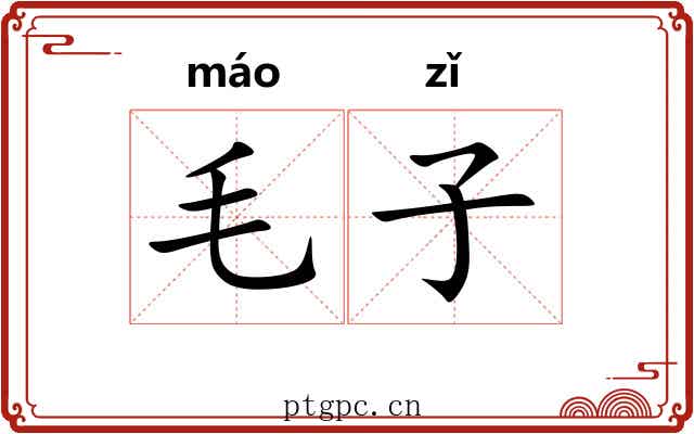 毛子 毛子