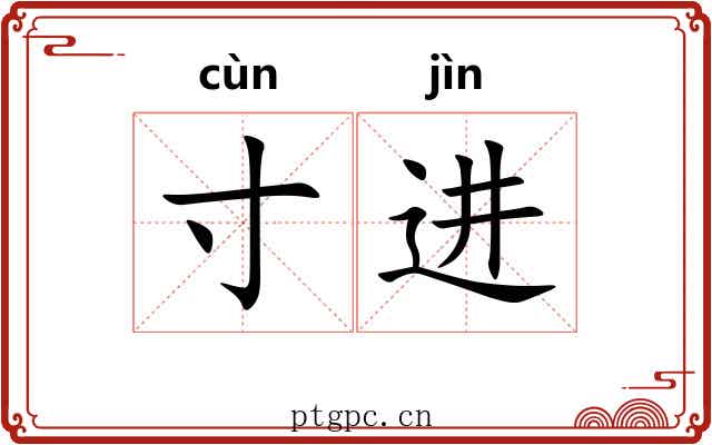 寸进