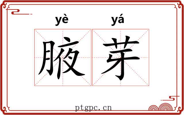 腋芽