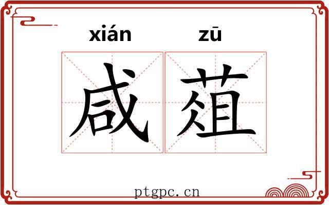 咸葅