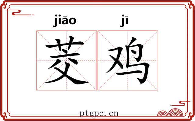 茭鸡