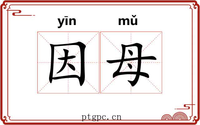 因母