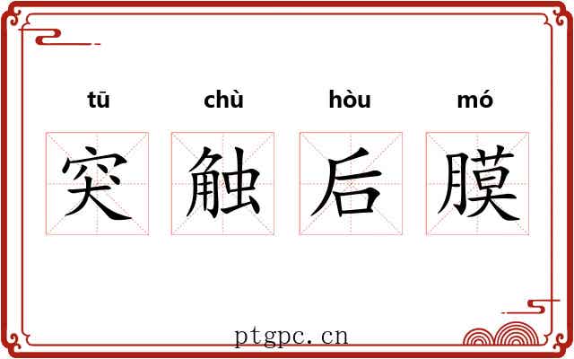 突触后膜 突触后膜