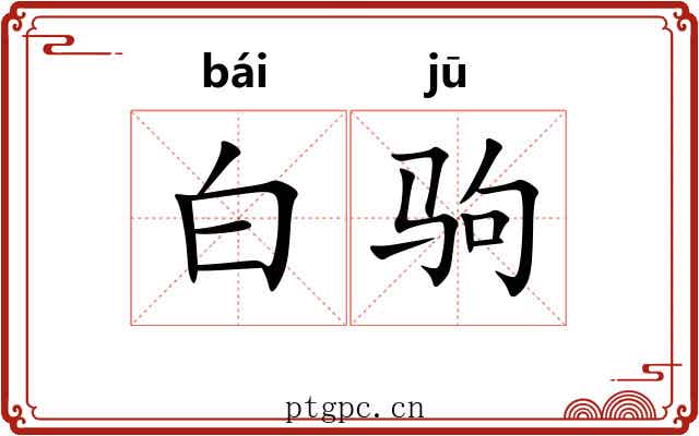 白驹 白驹