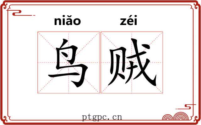 鸟贼
