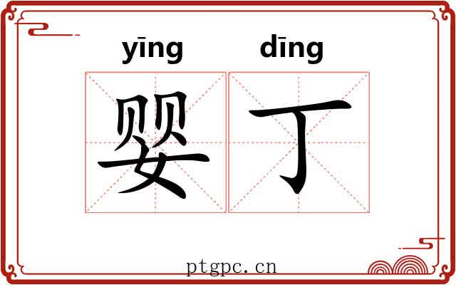 婴丁