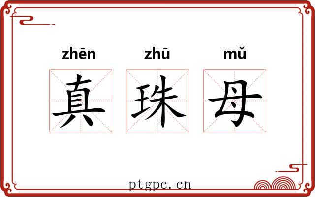 真珠母 真珠母