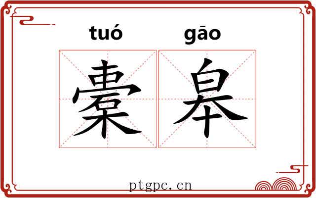 橐皋