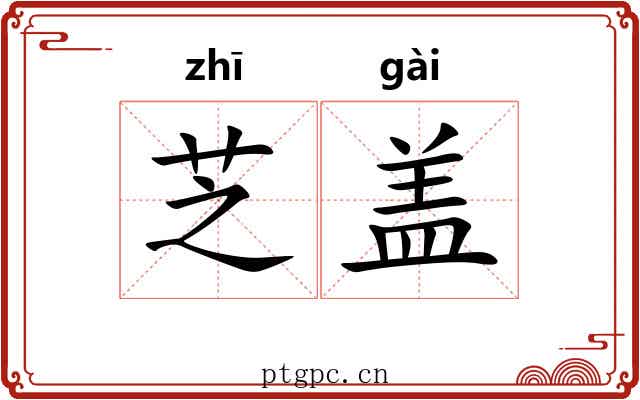 芝盖 芝盖