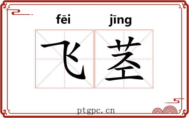飞茎