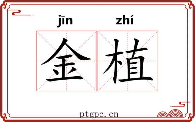 金植 金植