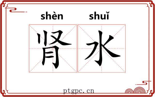 肾水