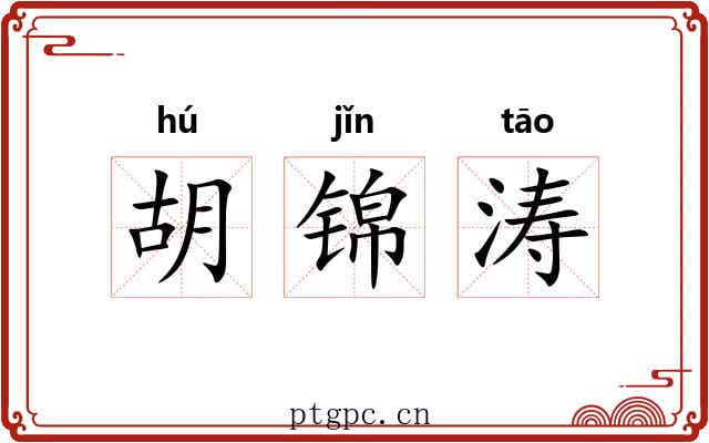 胡锦涛 胡锦涛