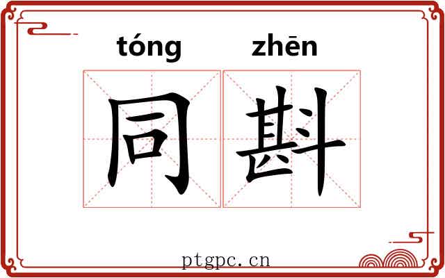 同斟