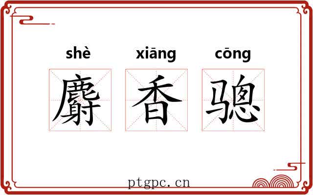 麝香骢 麝香骢