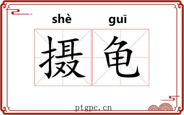摄龟 摄龟