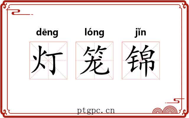 灯笼锦 灯笼锦