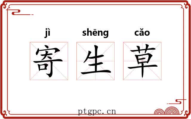 寄生草 寄生草