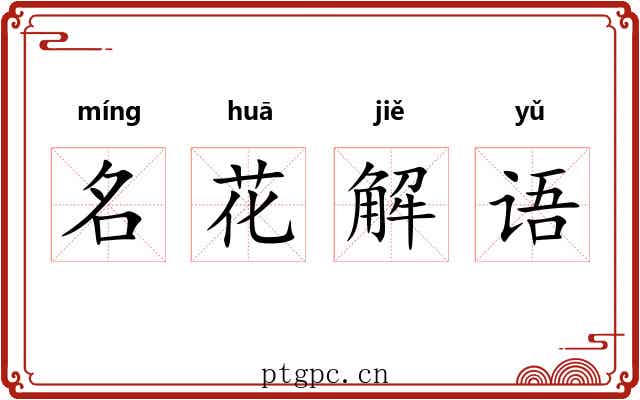 名花解语 名花解语