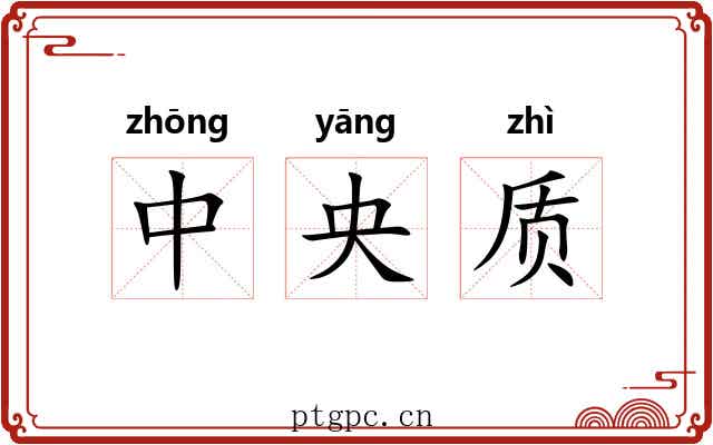 中央质 中央质