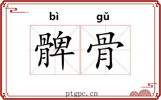 髀骨 髀骨
