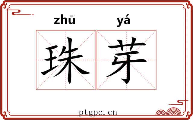 珠芽