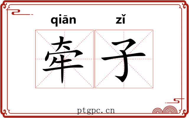 牵子 牵子