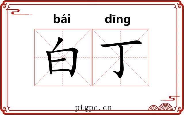 白丁 白丁
