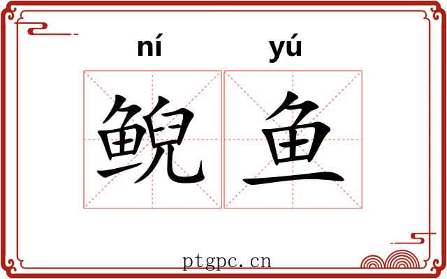 鲵鱼