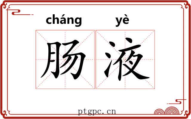 肠液