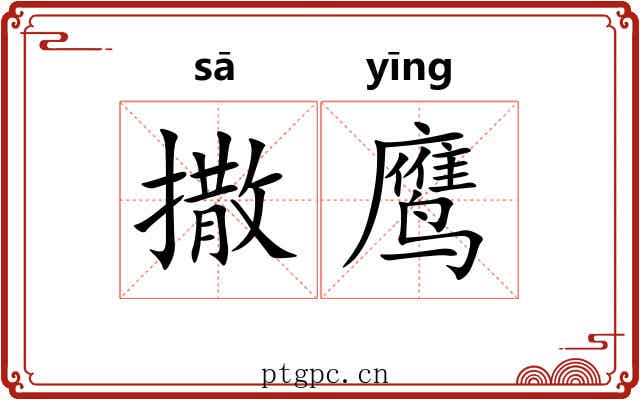 撒鹰