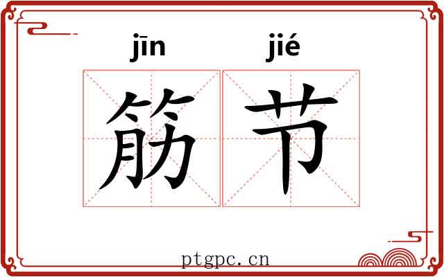 筋节 筋节