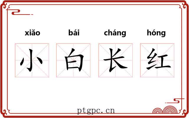 小白长红