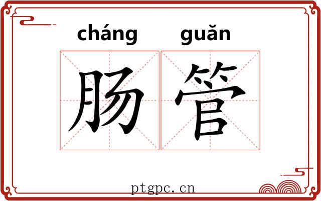 肠管