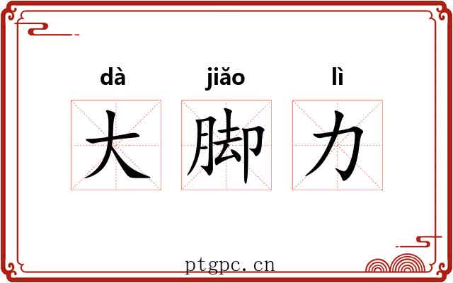 大脚力