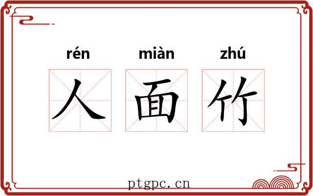 人面竹 人面竹