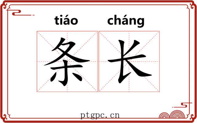 条长 条长