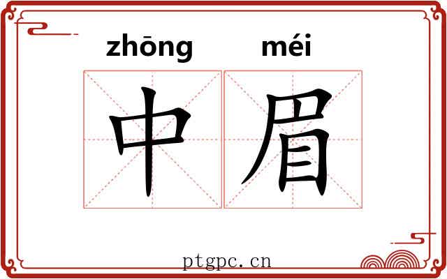 中眉 中眉