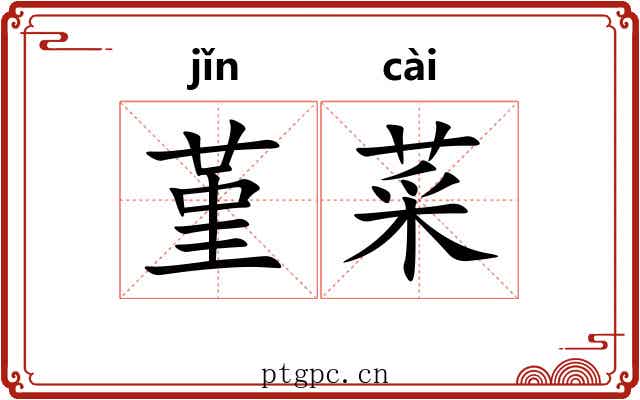 堇菜