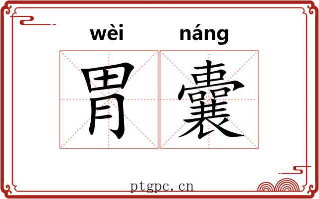 胃囊