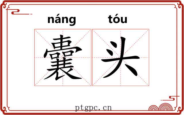 囊头 囊头