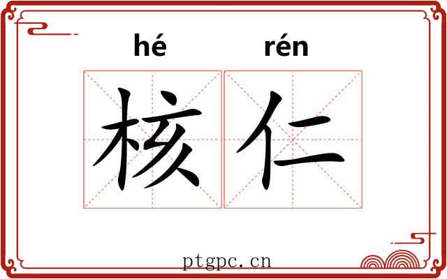 核仁 核仁