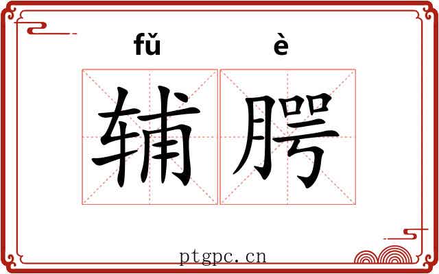 辅腭
