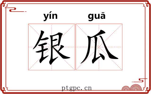 银瓜 银瓜