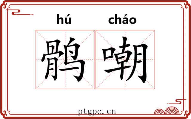 鹘嘲