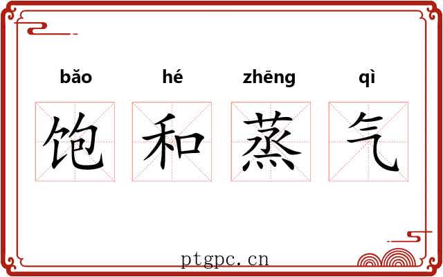 饱和蒸气 饱和蒸气