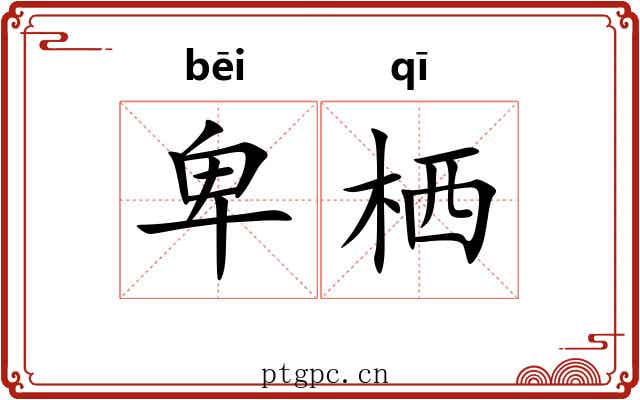 卑栖