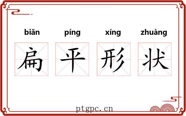 扁平形状