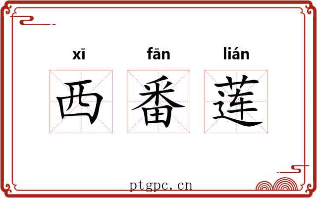 西番莲 西番莲